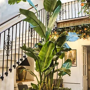 https://casa-rural-casa-levante.es-andalucia.com